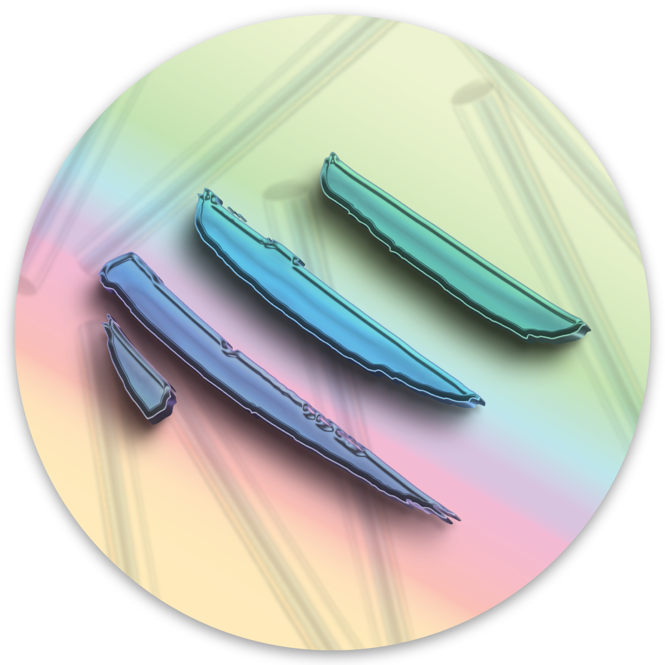 2025 Holographic Show Sticker